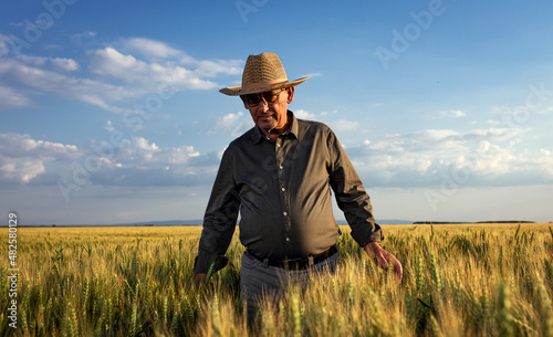 Portrait of senior farmer in wheat field at sunset. © Zoran Zeremski