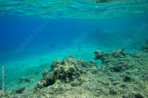 Underwater background © rufar