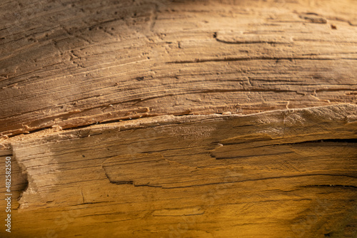 Old brown dark wooden texture - wood timber background. Horizontal image. Copy space.