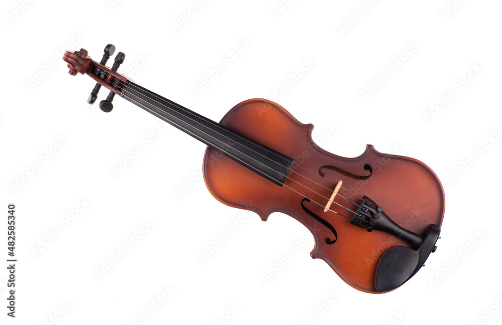 Fototapeta premium new violin on white background