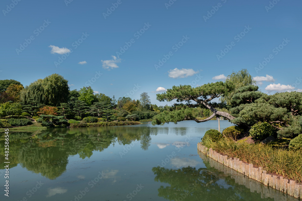 Fototapeta premium The Botanic Garden in Chicago 