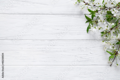 Spring background with blossom cherry flowers on wood table with copy space. Easter banner, flat lay