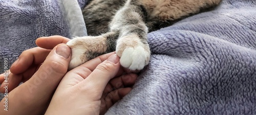 Female and male hand hold a cat by the paws, love concept, world cat day, sleeping cat