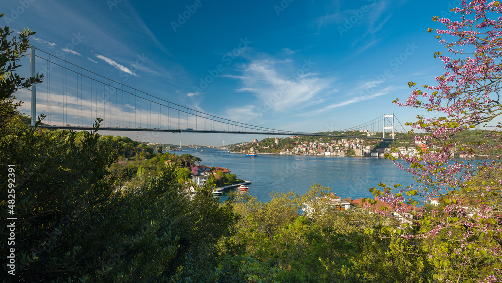 Spring time in Istanbul. Bosphorus view and famous redbud flowers. Istanbul view from Mihrabat Park. Beykoz, Turkey Spring time in Istanbul. Bosphorus view and famous redbud flowers. Istanbul view from Mihrabat Park. Beykoz, Turkey