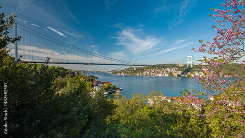 Spring time in Istanbul. Bosphorus view and famous redbud flowers. Istanbul view from Mihrabat Park. Beykoz, Turkey 