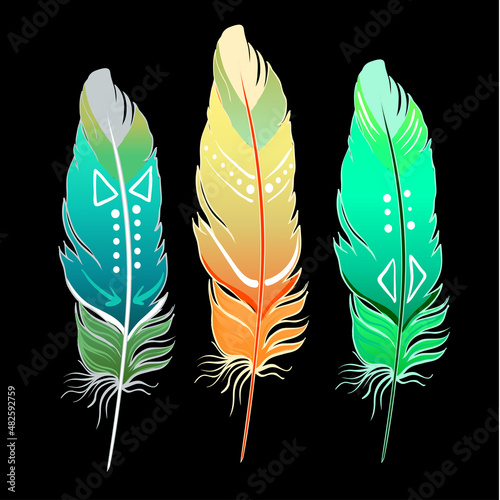 Hand drawn vector painted bird feathers isolated on white background. Colorfu...