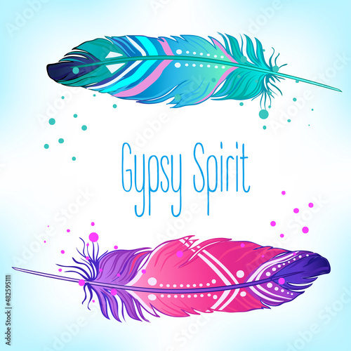 Hand drawn vector painted bird feathers isolated on white background. Colorfu...