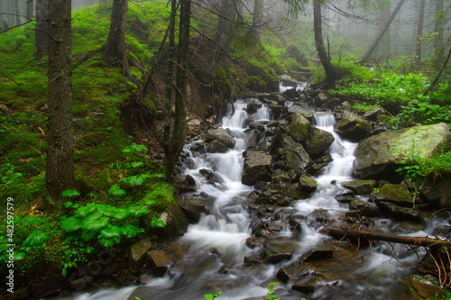 River in the woods