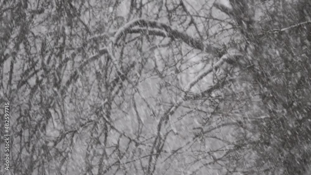 Heavy snowfall and wind in the garden against the background of silhouettes of trees. Winter season in the countryside. Heavy snowfall and wind in the garden against the background of silhouettes of trees. Winter season in the countryside.