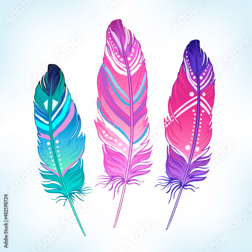 Hand drawn vector painted bird feathers isolated on white background. Colorful set for your design. Trendy boho style patterned elements, sketch, tribal colorful concept
