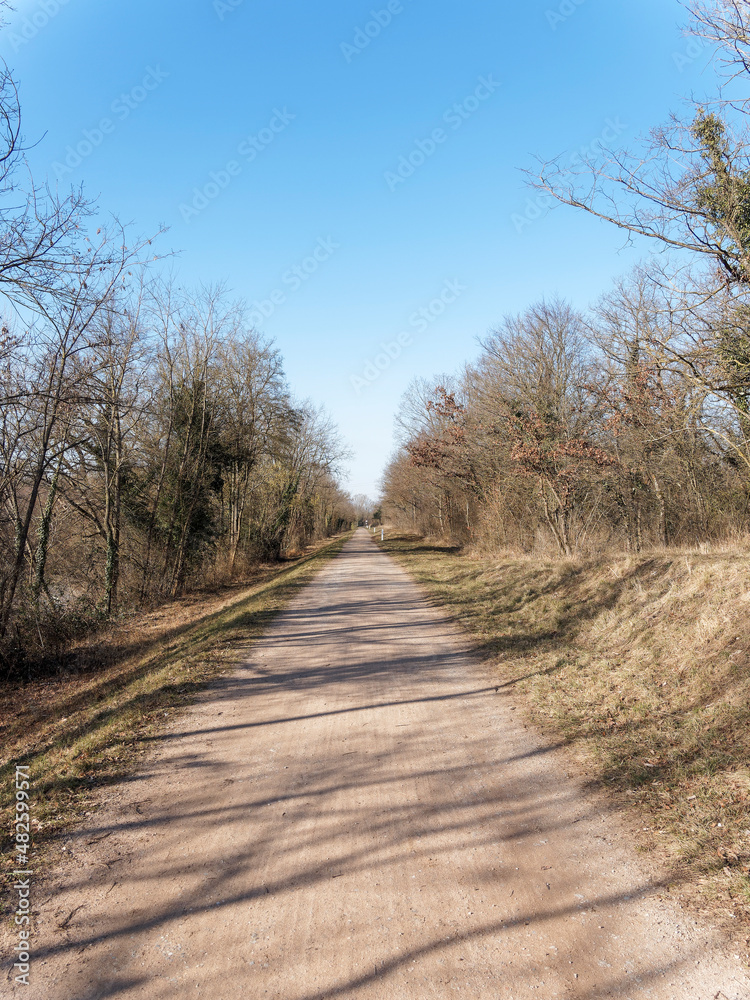 Istein im Markgräflerland - Leinpfad parallel zum altrhein zu erreichen Isteiner Schwellen Naherholungsgebiet mit ihren kleinen Sand- und Steinstränden Istein im Markgräflerland - Leinpfad parallel zum altrhein zu erreichen Isteiner Schwellen Naherholungsgebiet mit ihren kleinen Sand- und Steinstränden