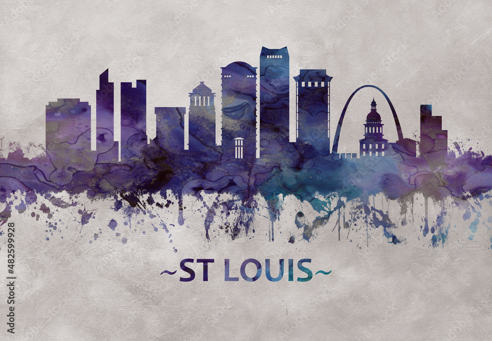 Obraz premium St. Louis Missouri skyline