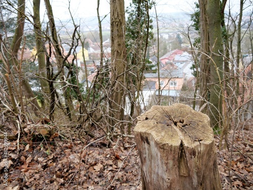 In die Ferne schauen