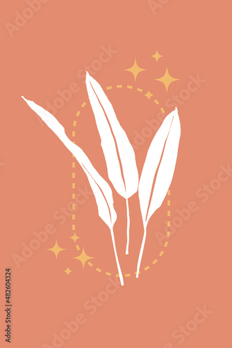 Minimal boho-style poster. Tropical leaves. Geometric shape and sparkling stars.