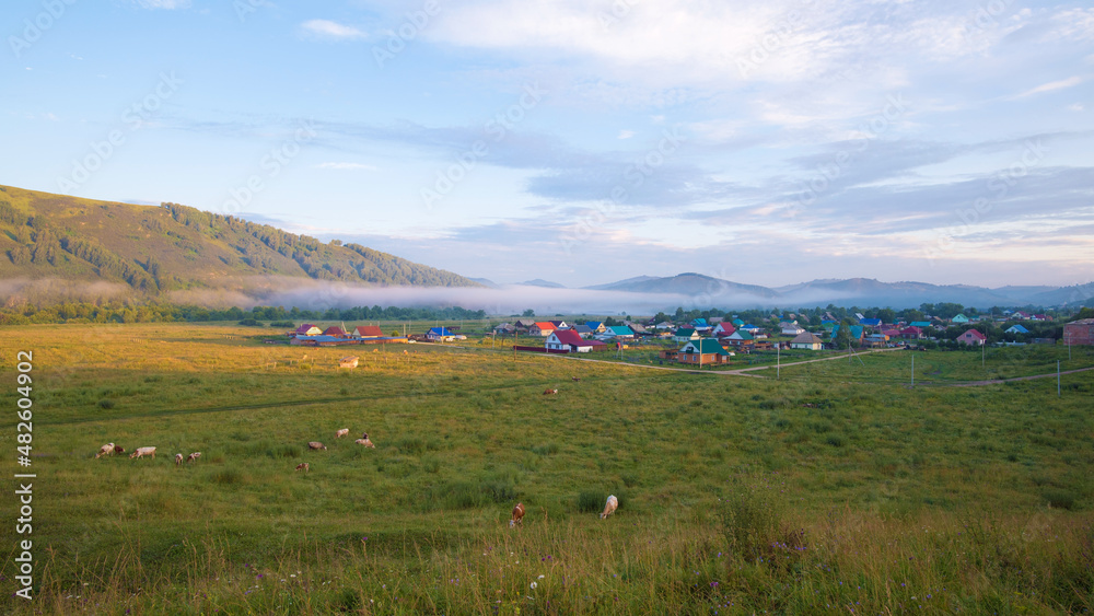 Sunrise over the Altai village. Cows graze in the foreground