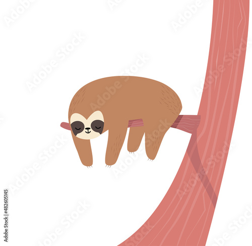sloth sleeping on Tree Branch