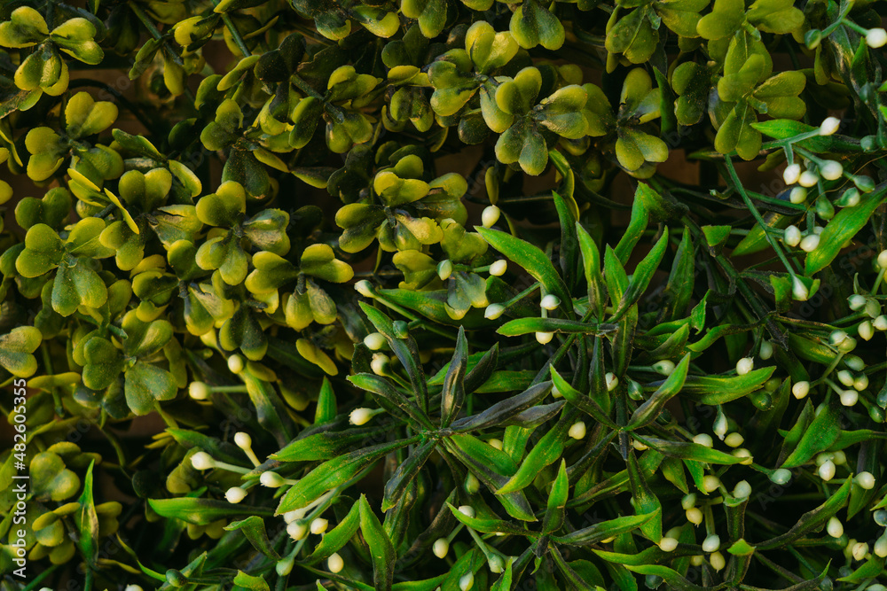 Closeup view flat lay stock photography of beautiful green artificial foliage imitating real organic plants. Abstract background Closeup view flat lay stock photography of beautiful green artificial foliage imitating real organic plants. Abstract background