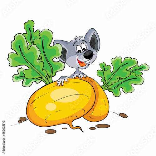 a cute mouse is hiding behind a beautiful, big, yellow turnip, cartoon illustration, isolated object on a white background, vector,