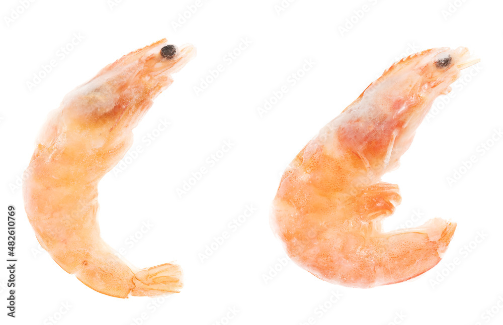 Unpeeled frozen shrimp on a white background. close-up