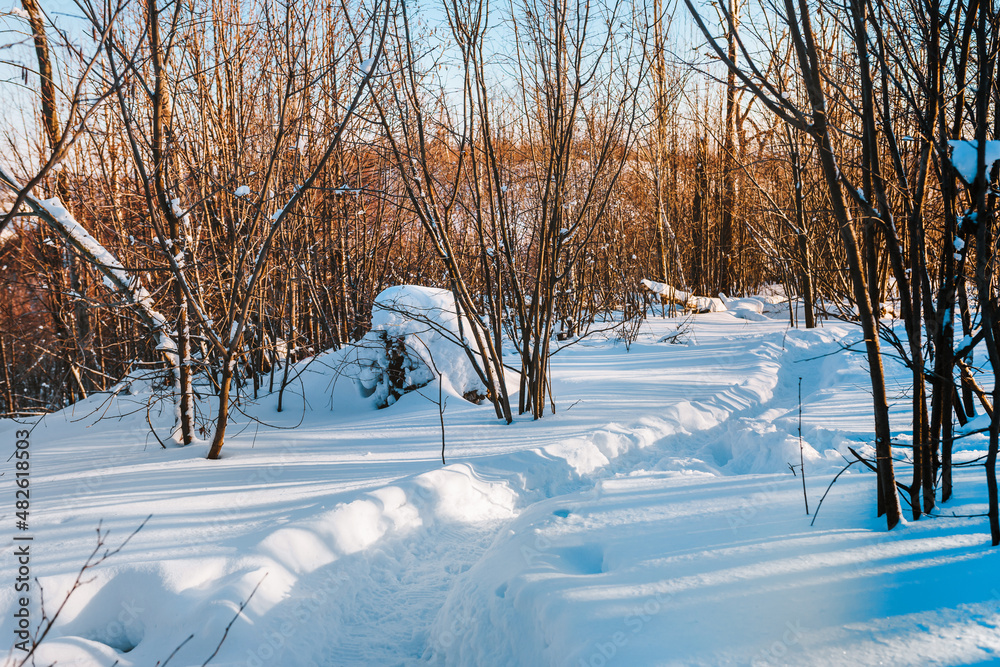 Beautiful winter landscape in a snowy forest Beautiful winter landscape in a snowy forest