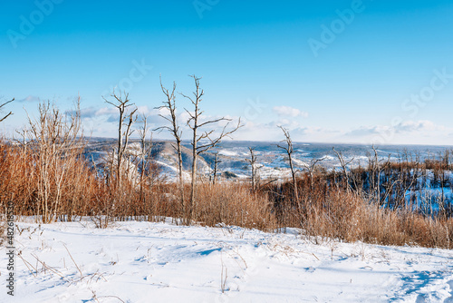 Winter landscape in the mountains with bare trees and a lot of snow