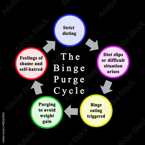 Stages of Binge Purge Cycle.