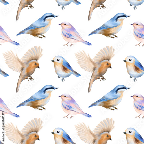 Seamless pattern of cute spring birds, hand drawn illustration on white background