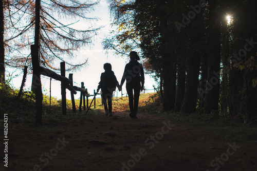 Mom and son walk hand in hand in a forest
