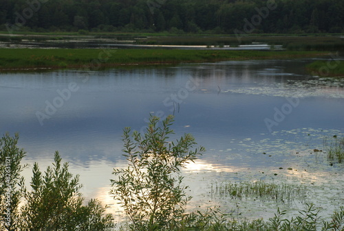 Reflection in the water of the lake. In the calm water of a small lake, along the edges of which a forest grows, a white-gray cloud is reflected, and the rays from the sun, reeds and trees.