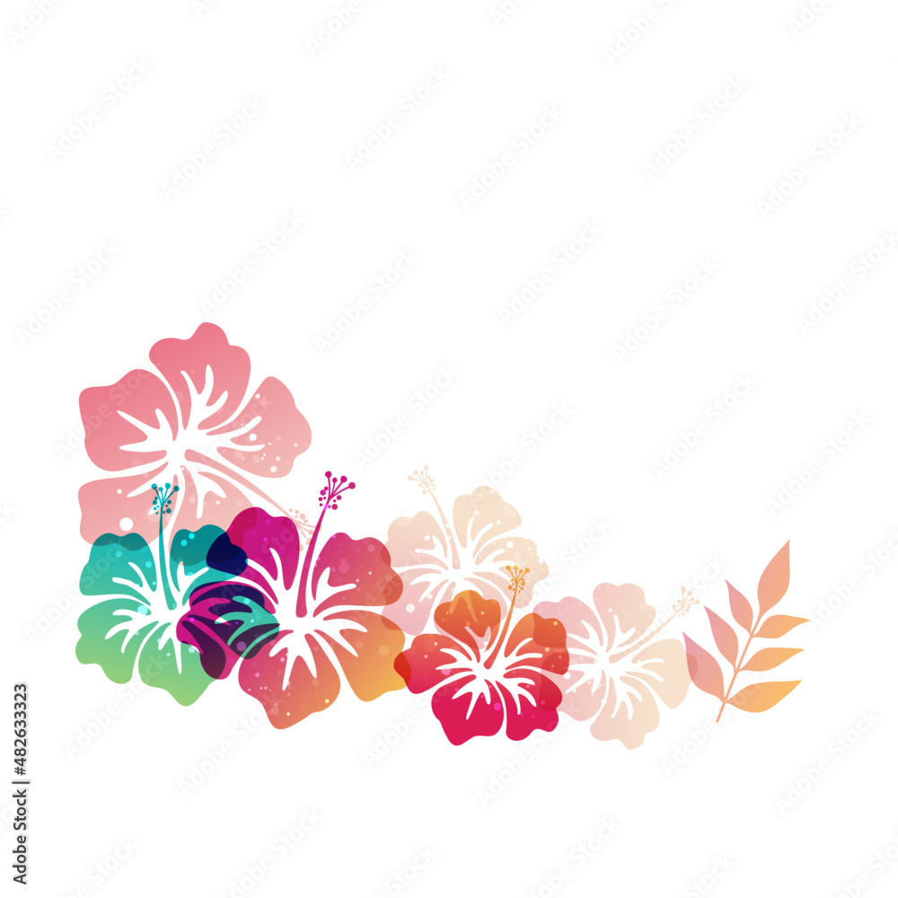 Obraz premium colorful vector flower design 