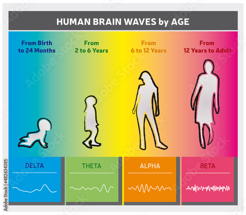 Ondes Cérébrales Humaines - Diagramme en Fonction de l'Age / Infographie Multicolore en Anglais - Couleurs Arc-En-Ciel