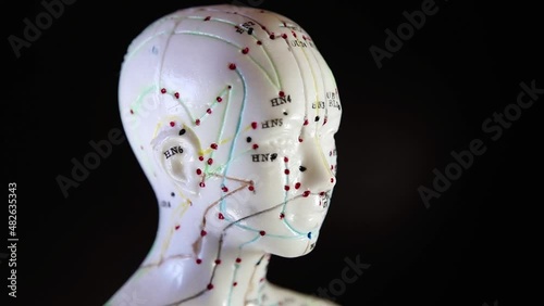 Mannequin rotation with acupuncture points and meridians.