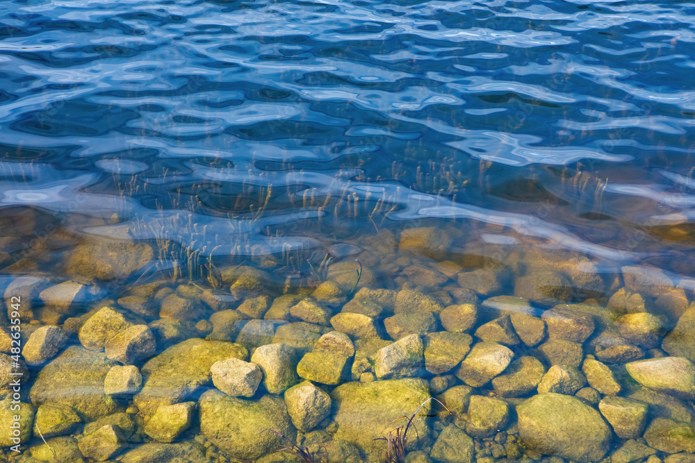Aquatic plants and stones in Sirvena lake in Birzai, Lithuania Aquatic plants and stones in Sirvena lake in Birzai, Lithuania