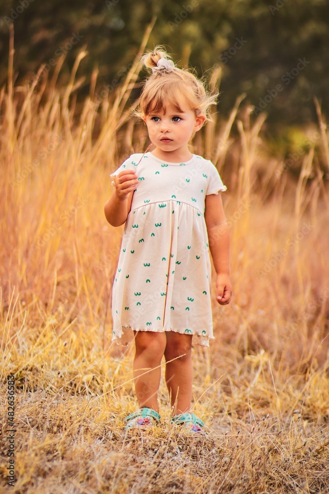 little girl in a field with a beautiful dress little girl in a field with a beautiful dress