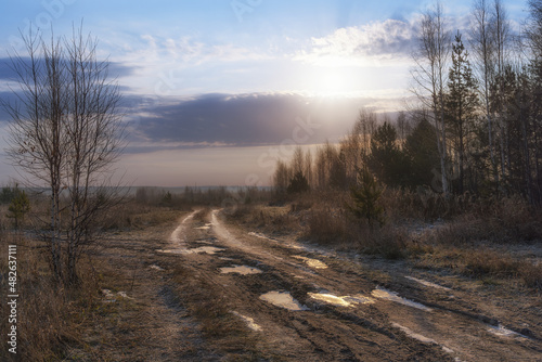 Mysterious frosty morning at the end of autumn in the Urals (Russia). A mixed forest and a road with frozen puddles are shrouded in mist. The sun is reflected on the ice and glitters  © olgaS