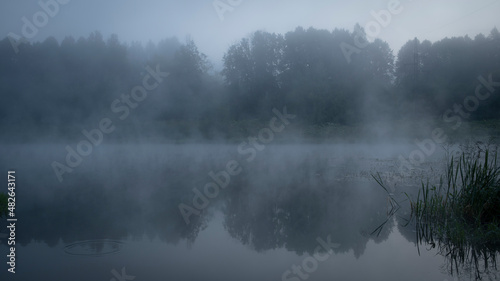 fog on the river © Наталья Чибисова