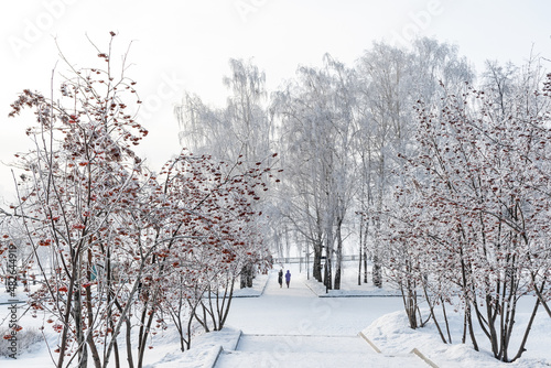 Beautiful city landscape in snowy winter 