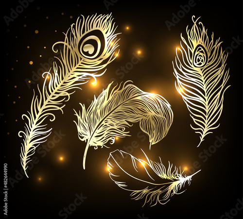 Shiny gold feather over dark background. Concept for temporary flash metallic tattoo. Vector illustration.