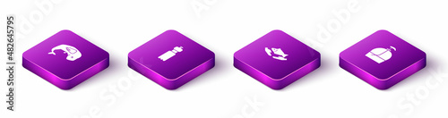 Set Isometric Environment protection whale dead, Bottle of water, Fish care and liquid soap icon. Vector