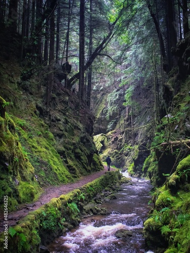 Photos Puck's Glen in the Cowal Peninsula, Argyll, Scotland, UK