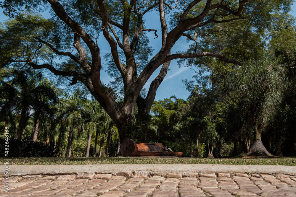 Obraz premium Inhotim, Brumadinho, Minas Gerais, Brazil: Museum of Contemporary Art