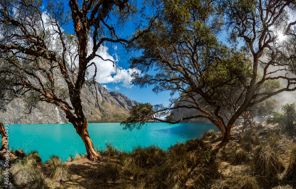 Turquoise waters and trees in the Llanganuco lagoon, in Yungay, Ancash, Peru