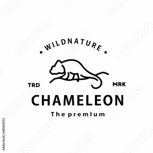 vintage retro hipster chameleon logo vector reptil outline monoline art icon