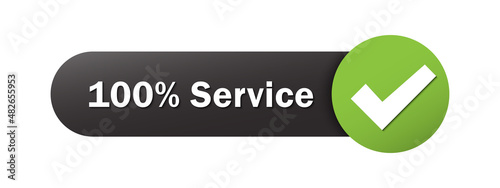 100% SERVICE black and green vector web button
