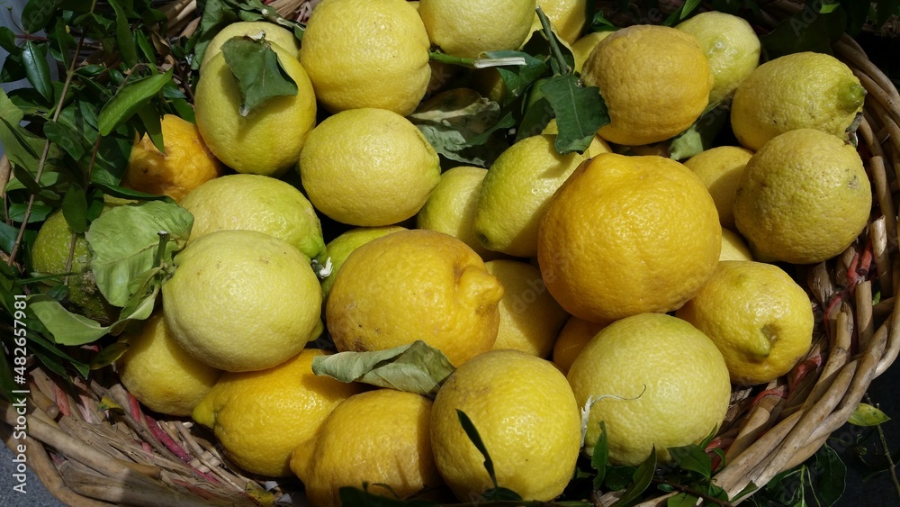Bio Zitronen vom Bauernmarkt