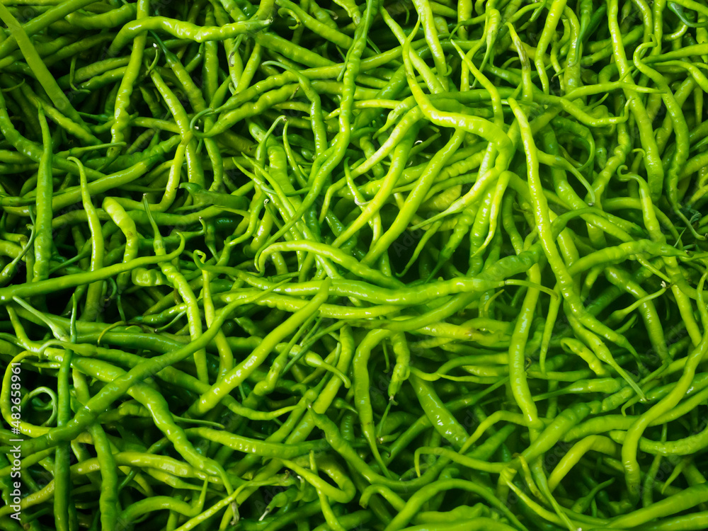 High angle green chili peppers shot with day light High angle green chili peppers shot with day light