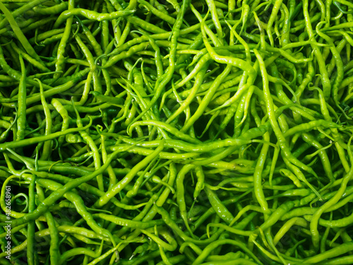 High angle green chili peppers shot with day light