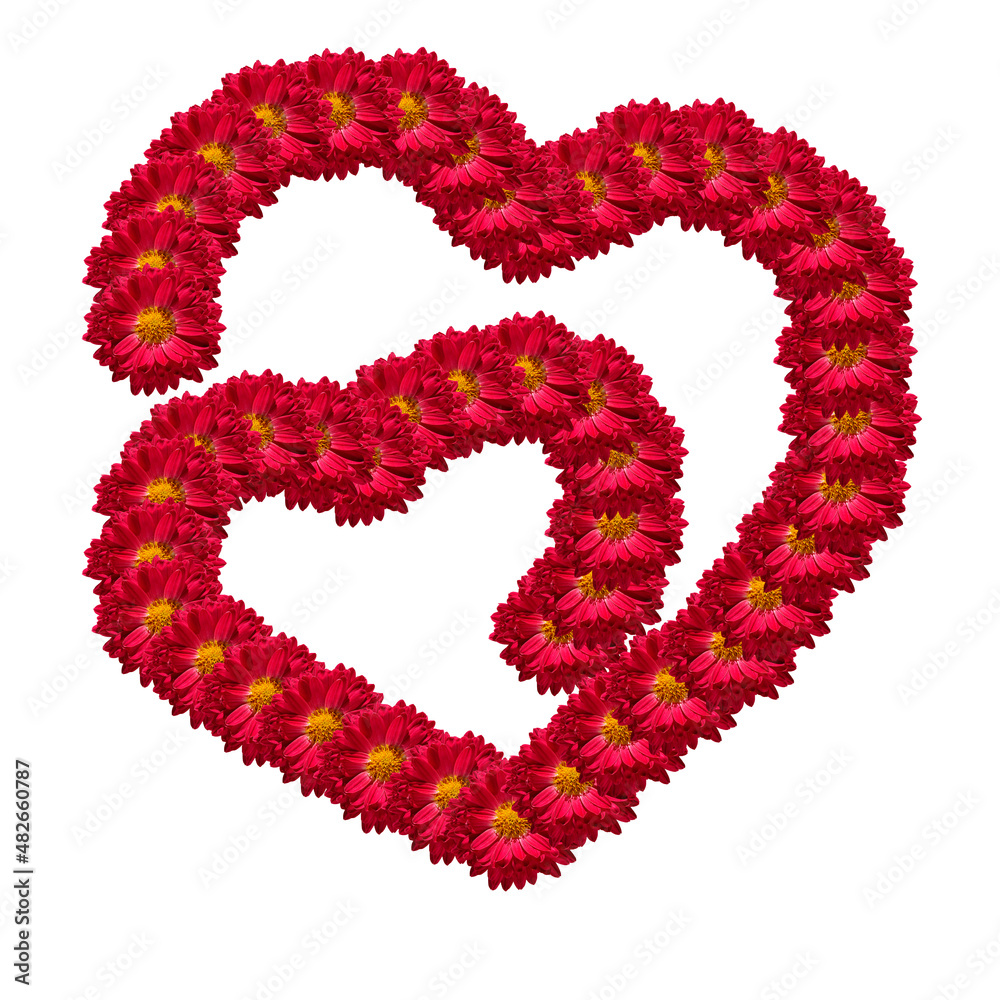 Two Connected Hearts on a white background. The original shape of two hearts with one line of red flower buds.  Romantic symbol linked, join, love, passion and wedding