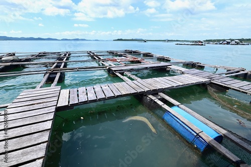 Floating Fish Farm and Nursery at Koh Yao Noi photo