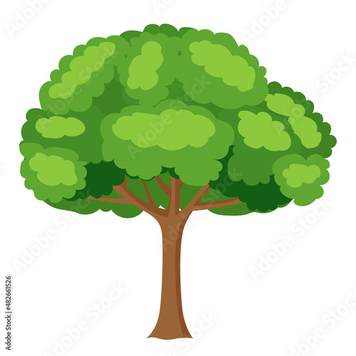 Single bright green tree, isolated on a white background